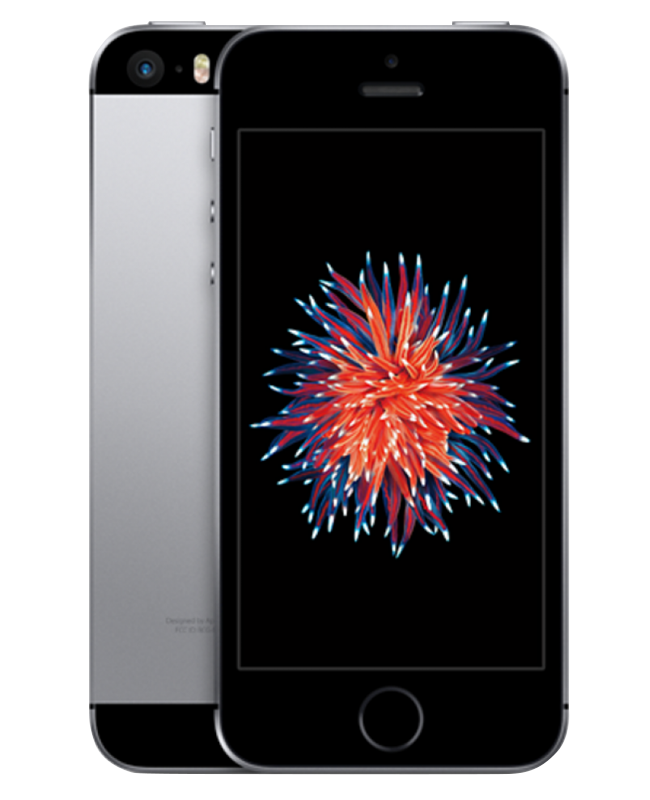 Ремонт iPhone 5SE у метро Динамо